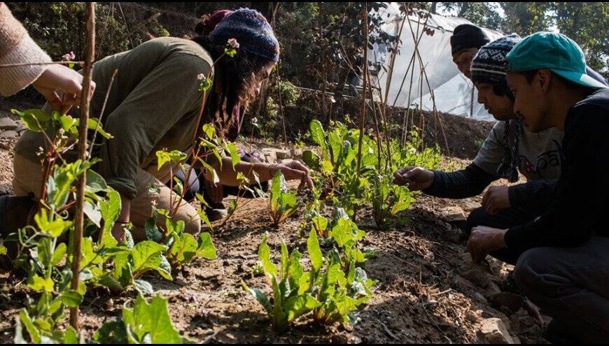 2016-rebuilding Nepal-4